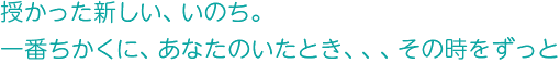 授かった新しい、いのち。一番ちかくに、あなたのいたとき、、、その時をずっと